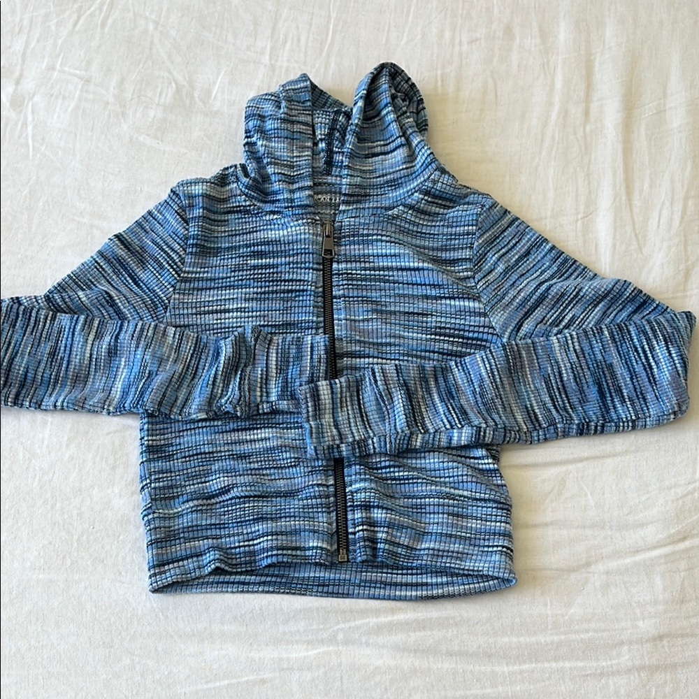 American Eagle Blue Striped Zip-Up Hoodie